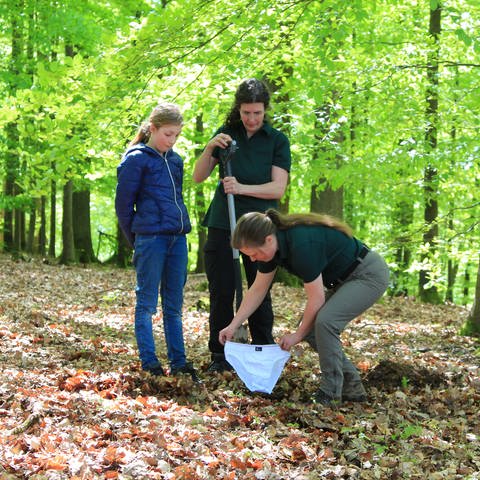 Zwei Frauen und ein Mädchen vergraben eine weiße Unterhose im Wald