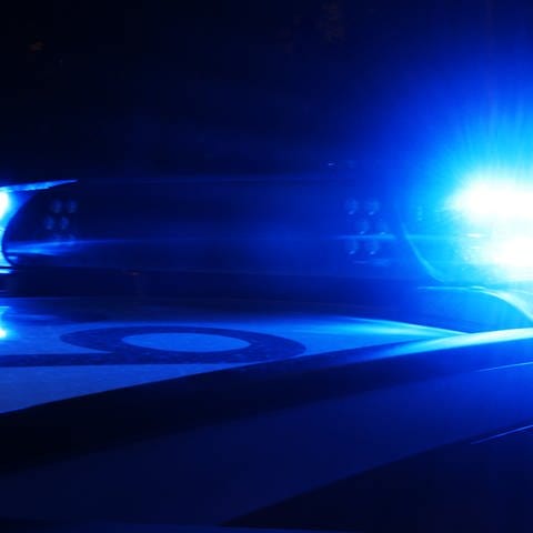 Polizei-Blaulicht bei Nacht (Foto: SWR, Daniel Brusch)