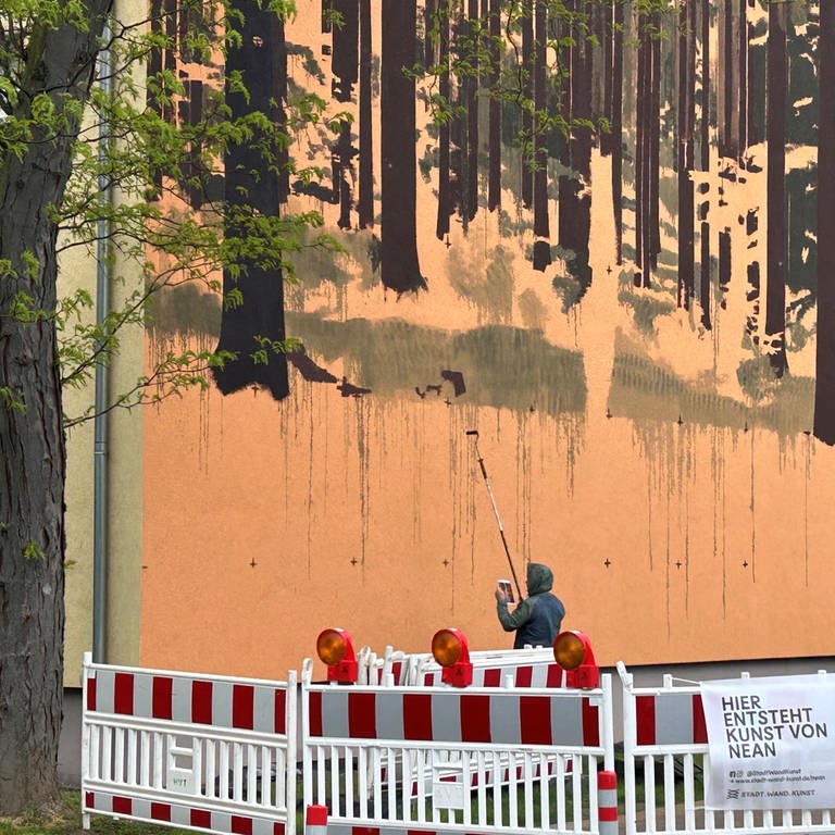 Der belgische Künstler NEAN eröffnet die Saison der Freiluft-Malerei mit einem großen Wandbild (Foto: SWR)