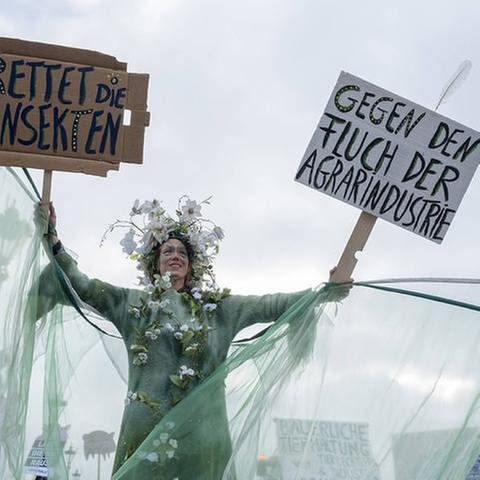 Eine grün mit Blumen verkleidete Frau hält bei einer Demonstration zwei Plakate in die Luft auf denen "Rettet die Insekten" und "Gegen den Fluch der Agrarindustrie" steht.